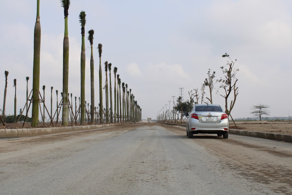 duong-giao-thong-custom