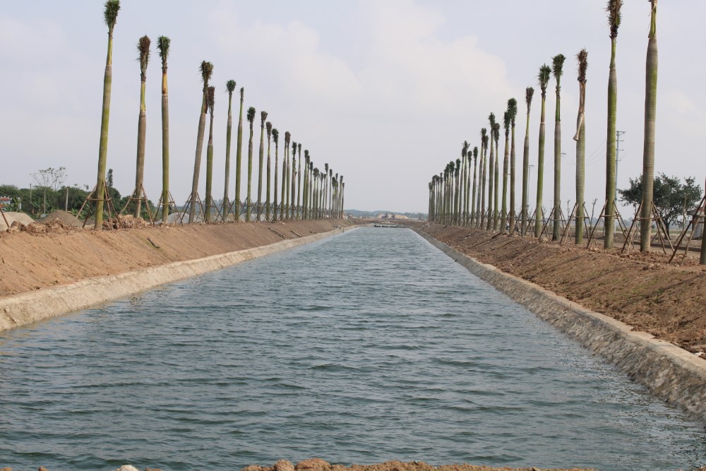 ho-dieu-hoa-tai-truc-duong-chinh-custom